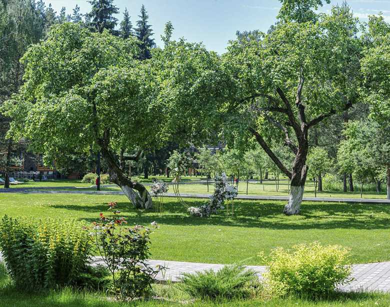 Экосад 38. Загородный клуб сад. Экологичный сад. ЭКОСАД Пермь.